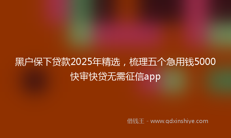 黑户保下贷款2025年精选，梳理五个急用钱5000快审快贷无需征信app