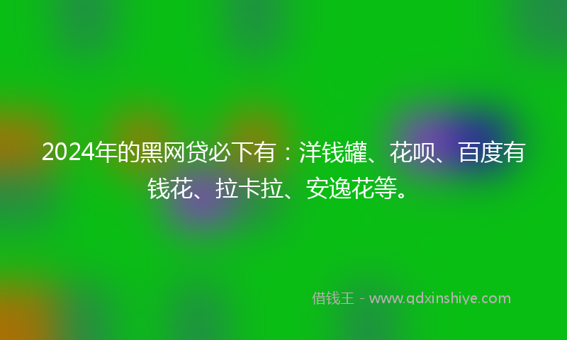2024年的黑网贷必下有：洋钱罐、花呗、百度有钱花、拉卡拉、安逸花等。