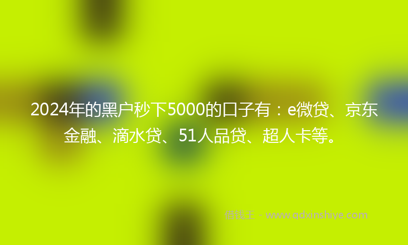 2024年的黑户秒下5000的口子有：e微贷、京东金融、滴水贷、51人品贷、超人卡等。