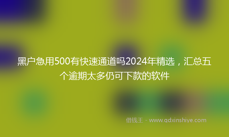黑户急用500有快速通道吗2024年精选，汇总五个逾期太多仍可下款的软件