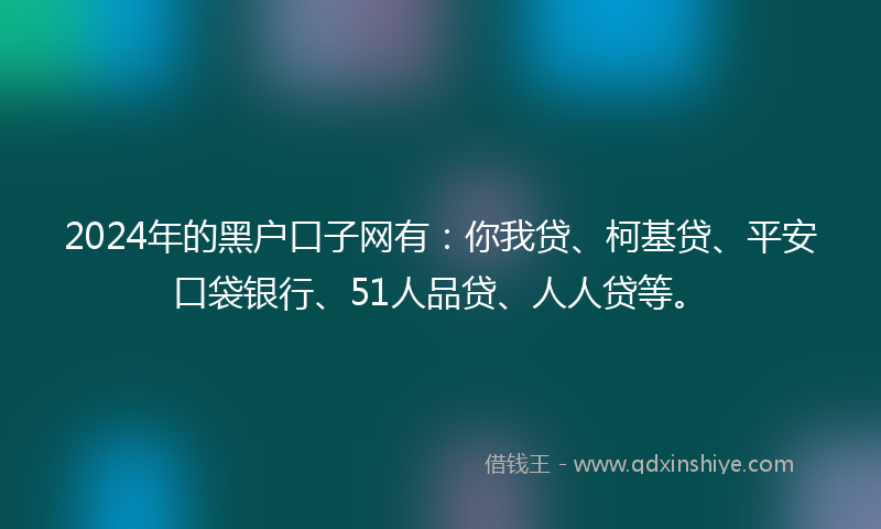 2024年的黑户口子网有：你我贷、柯基贷、平安口袋银行、51人品贷、人人贷等。