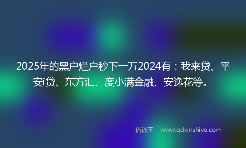 2025年的黑户烂户秒下一万2024有：我来贷、平安i贷、东方汇、度小满金融、安逸花等。
