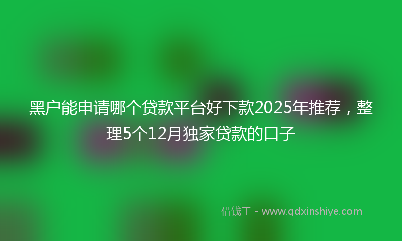 黑户能申请哪个贷款平台好下款2025年推荐，整理5个12月独家贷款的口子