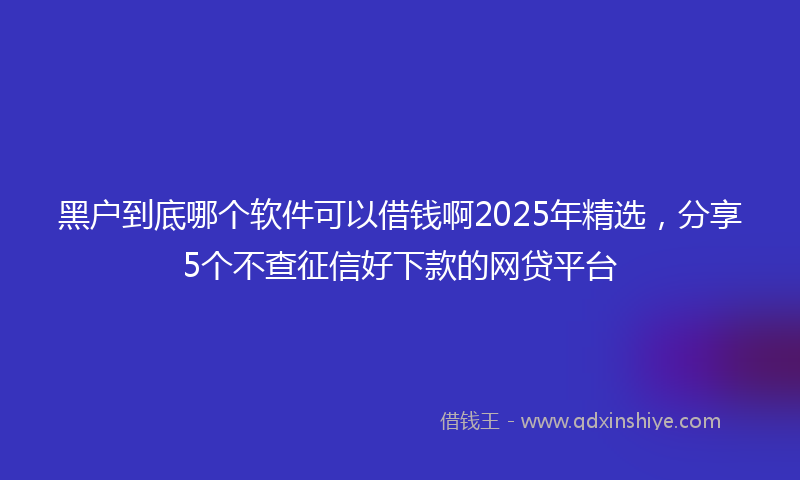 黑户到底哪个软件可以借钱啊2025年精选，分享5个不查征信好下款的网贷平台