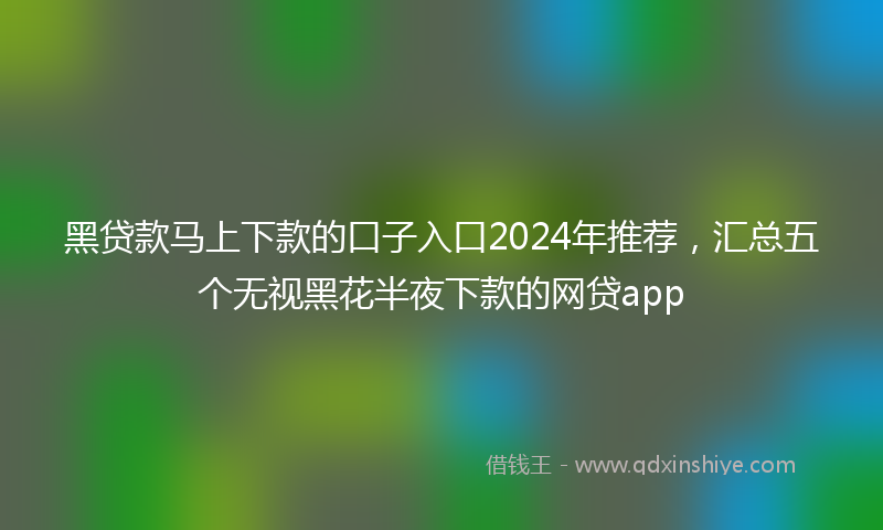 黑贷款马上下款的口子入口2024年推荐，汇总五个无视黑花半夜下款的网贷app