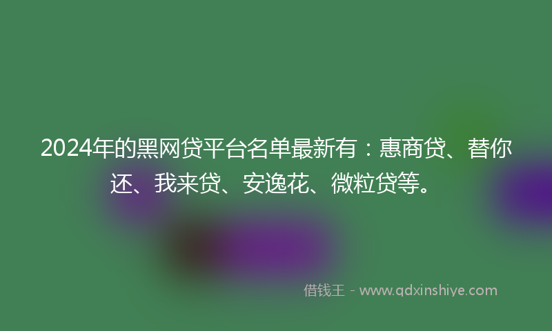 2024年的黑网贷平台名单最新有：惠商贷、替你还、我来贷、安逸花、微粒贷等。