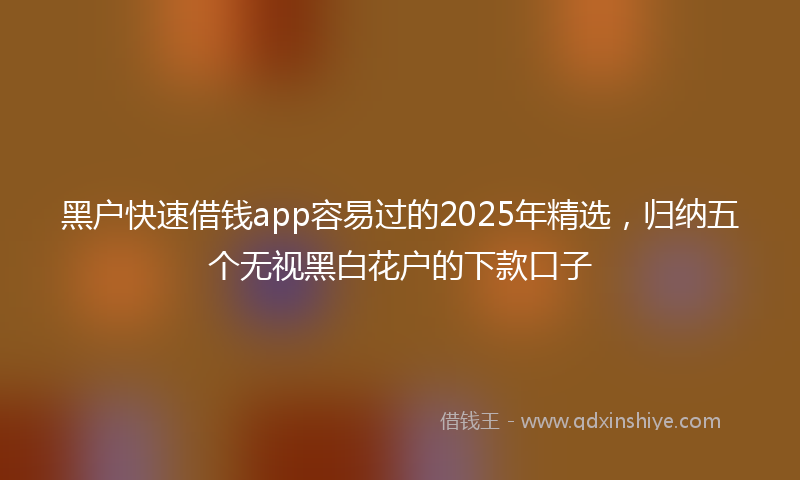 黑户快速借钱app容易过的2025年精选，归纳五个无视黑白花户的下款口子
