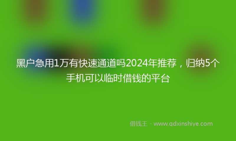 黑户急用1万有快速通道吗2024年推荐，归纳5个手机可以临时借钱的平台