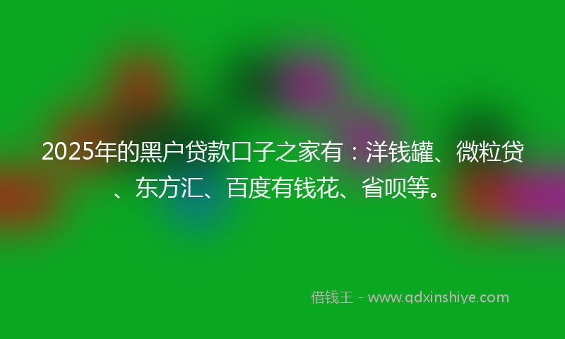 2025年的黑户贷款口子之家有：洋钱罐、微粒贷、东方汇、百度有钱花、省呗等。