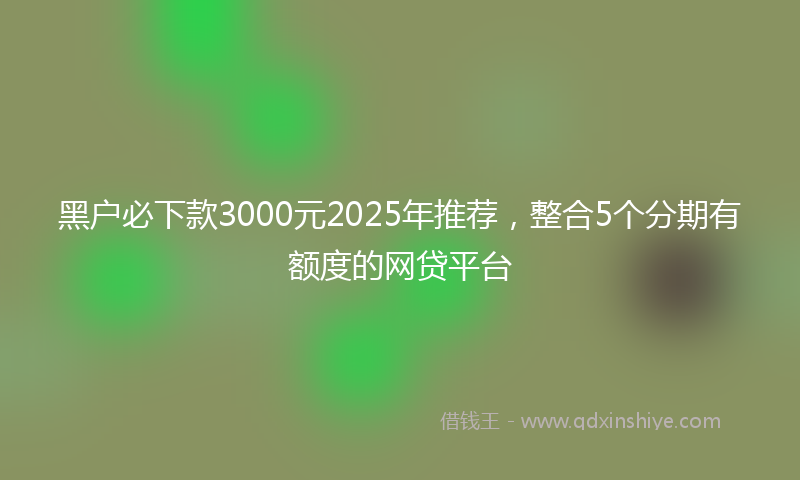黑户必下款3000元2025年推荐，整合5个分期有额度的网贷平台
