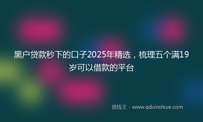 黑户贷款秒下的口子2025年精选，梳理五个满19岁可以借款的平台