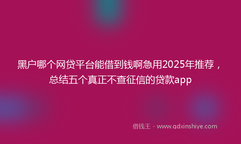 黑户哪个网贷平台能借到钱啊急用2025年推荐，总结五个真正不查征信的贷款app