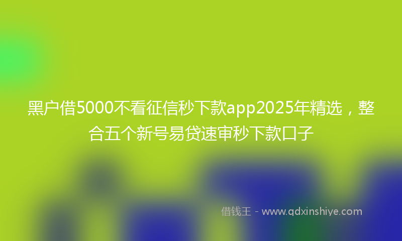 黑户借5000不看征信秒下款app2025年精选，整合五个新号易贷速审秒下款口子