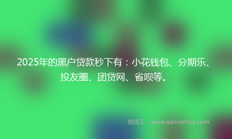 2025年的黑户贷款秒下有：小花钱包、分期乐、投友圈、团贷网、省呗等。