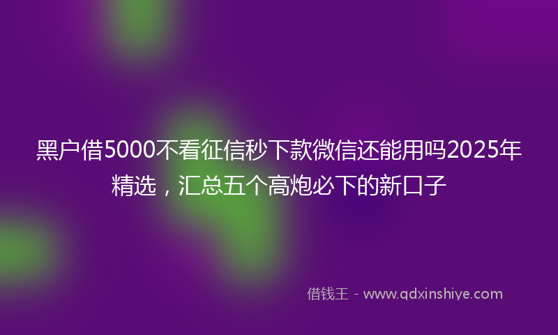 黑户借5000不看征信秒下款微信还能用吗2025年精选，汇总五个高炮必下的新口子
