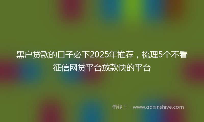 黑户贷款的口子必下2025年推荐，梳理5个不看征信网贷平台放款快的平台