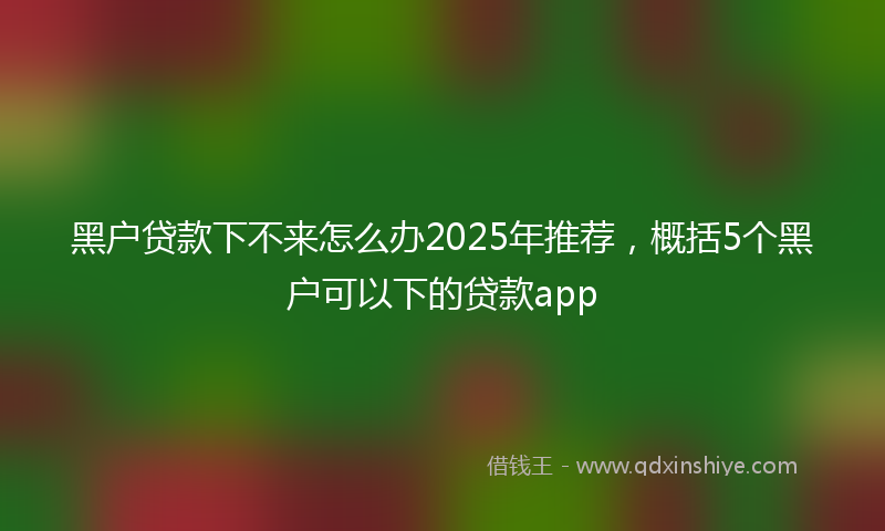 黑户贷款下不来怎么办2025年推荐，概括5个黑户可以下的贷款app