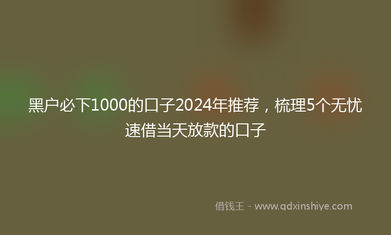 黑户必下1000的口子2024年推荐，梳理5个无忧速借当天放款的口子