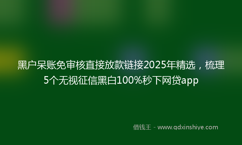 黑户呆账免审核直接放款链接2025年精选，梳理5个无视征信黑白100%秒下网贷app
