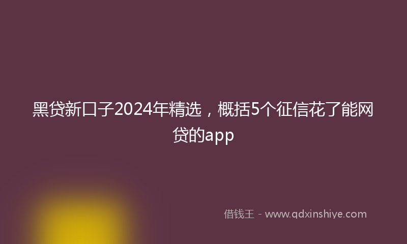 黑贷新口子2024年精选，概括5个征信花了能网贷的app
