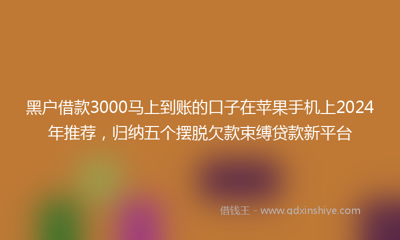 黑户借款3000马上到账的口子在苹果手机上2024年推荐，归纳五个摆脱欠款束缚贷款新平台