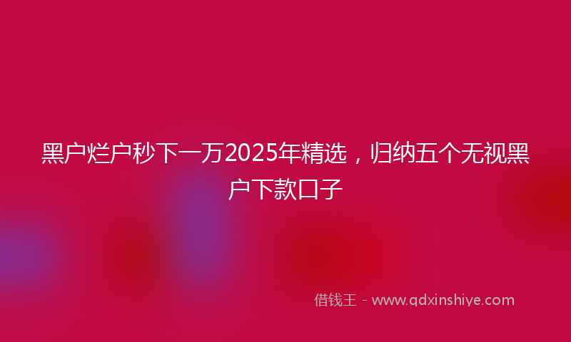 黑户烂户秒下一万2025年精选，归纳五个无视黑户下款口子