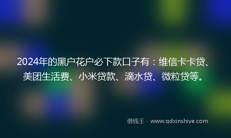2024年的黑户花户必下款口子有：维信卡卡贷、美团生活费、小米贷款、滴水贷、微粒贷等。