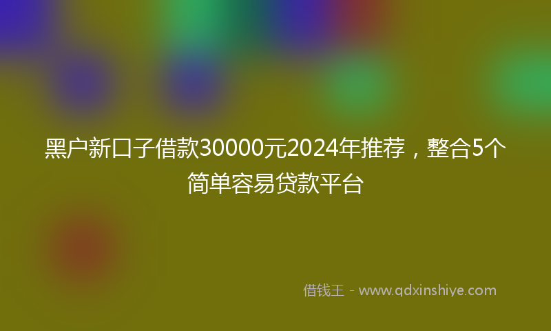 黑户新口子借款30000元2024年推荐，整合5个简单容易贷款平台