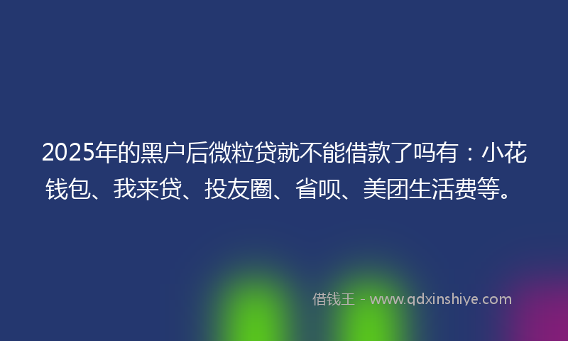2025年的黑户后微粒贷就不能借款了吗有：小花钱包、我来贷、投友圈、省呗、美团生活费等。