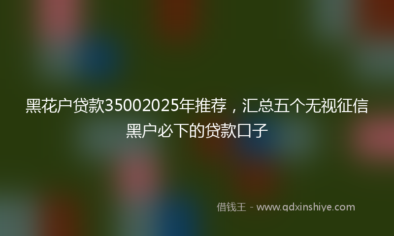 黑花户贷款35002025年推荐，汇总五个无视征信黑户必下的贷款口子