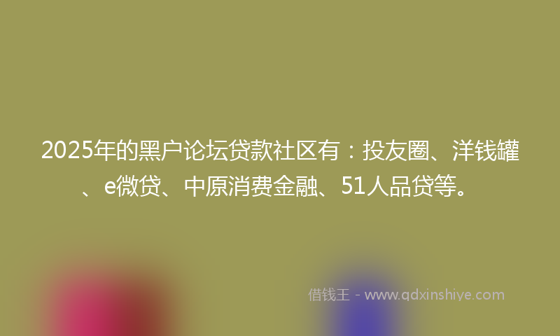 2025年的黑户论坛贷款社区有：投友圈、洋钱罐、e微贷、中原消费金融、51人品贷等。