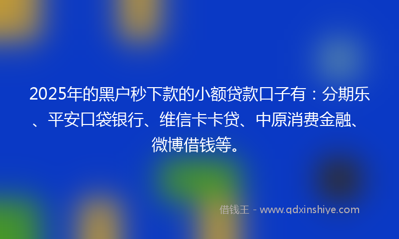 2025年的黑户秒下款的小额贷款口子有：分期乐、平安口袋银行、维信卡卡贷、中原消费金融、微博借钱等。