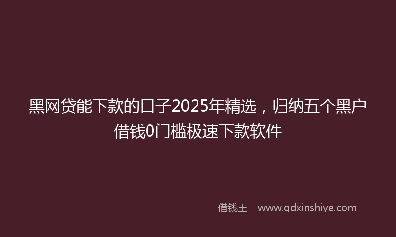 黑网贷能下款的口子2025年精选，归纳五个黑户借钱0门槛极速下款软件