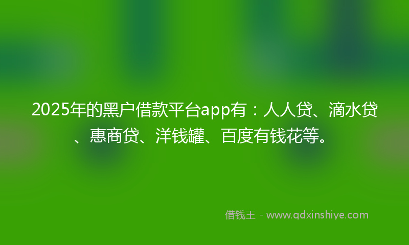 2025年的黑户借款平台app有：人人贷、滴水贷、惠商贷、洋钱罐、百度有钱花等。