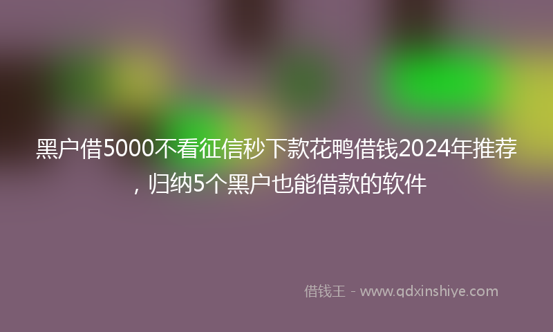 黑户借5000不看征信秒下款花鸭借钱2024年推荐，归纳5个黑户也能借款的软件