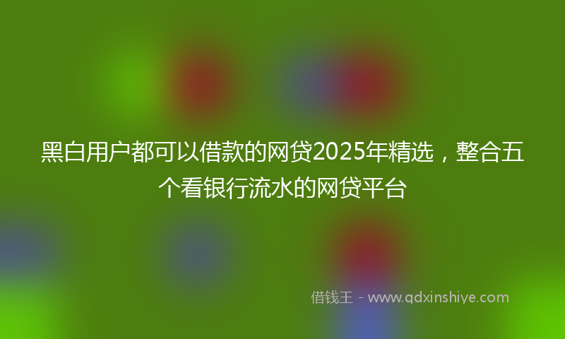 黑白用户都可以借款的网贷2025年精选，整合五个看银行流水的网贷平台