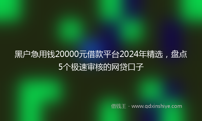 黑户急用钱20000元借款平台2024年精选，盘点5个极速审核的网贷口子