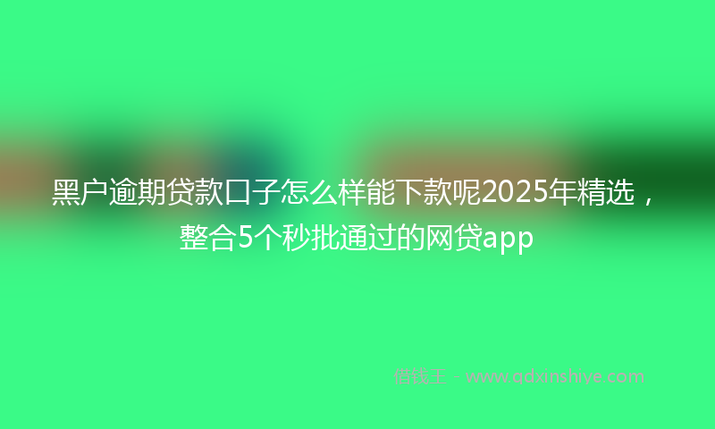 黑户逾期贷款口子怎么样能下款呢2025年精选，整合5个秒批通过的网贷app