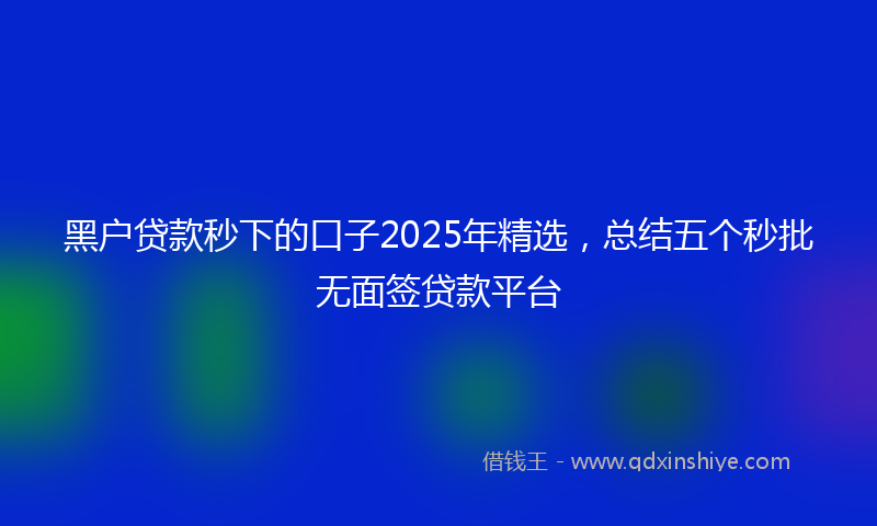 黑户贷款秒下的口子2025年精选，总结五个秒批无面签贷款平台