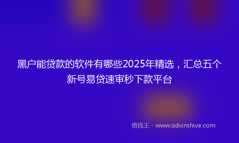 黑户能贷款的软件有哪些2025年精选，汇总五个新号易贷速审秒下款平台