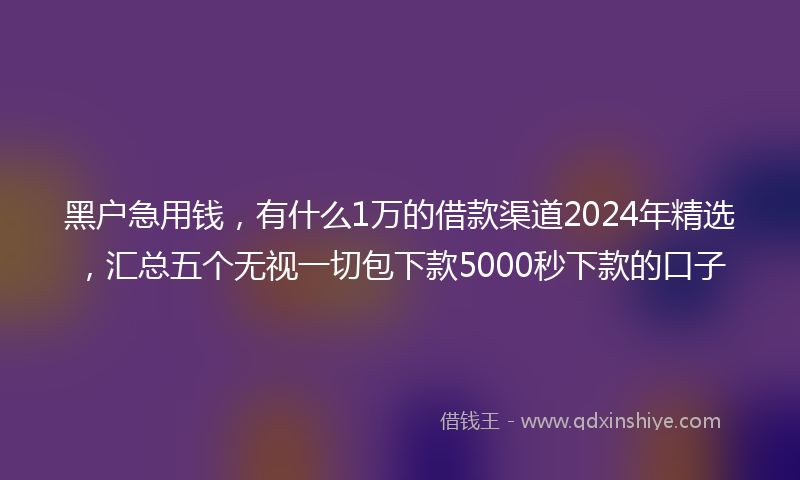 黑户急用钱，有什么1万的借款渠道2024年精选，汇总五个无视一切包下款5000秒下款的口子