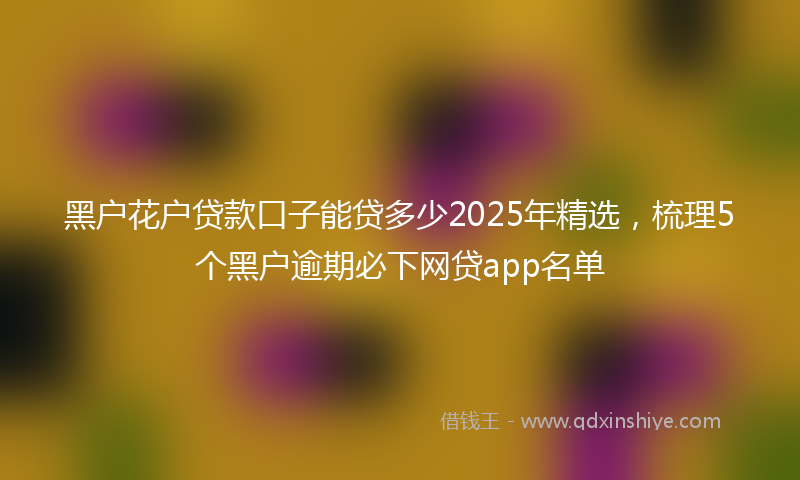 黑户花户贷款口子能贷多少2025年精选，梳理5个黑户逾期必下网贷app名单