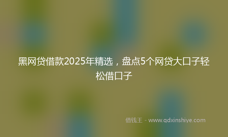黑网贷借款2025年精选，盘点5个网贷大口子轻松借口子