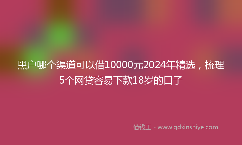 黑户哪个渠道可以借10000元2024年精选，梳理5个网贷容易下款18岁的口子