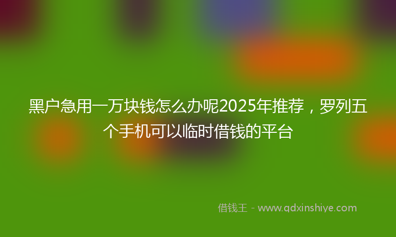 黑户急用一万块钱怎么办呢2025年推荐，罗列五个手机可以临时借钱的平台