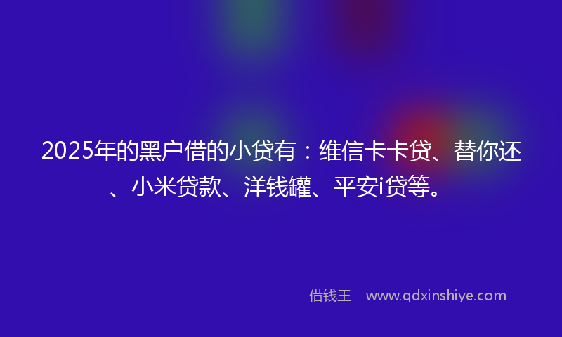 2025年的黑户借的小贷有：维信卡卡贷、替你还、小米贷款、洋钱罐、平安i贷等。