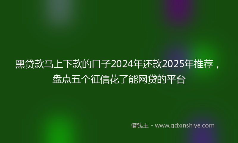 黑贷款马上下款的口子2024年还款2025年推荐，盘点五个征信花了能网贷的平台
