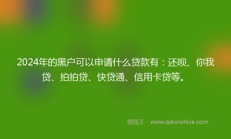 2024年的黑户可以申请什么贷款有：还呗、你我贷、拍拍贷、快贷通、信用卡贷等。