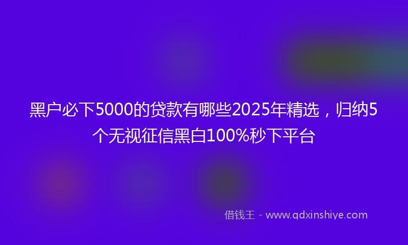 黑户必下5000的贷款有哪些2025年精选，归纳5个无视征信黑白100%秒下平台