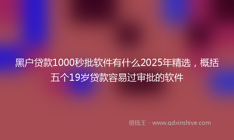 黑户贷款1000秒批软件有什么2025年精选，概括五个19岁贷款容易过审批的软件